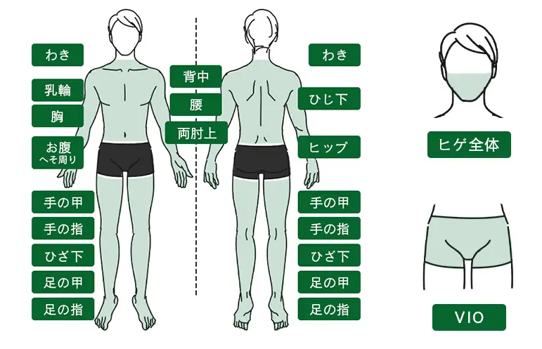 YGメディカルクリニック新橋院の医療脱毛 対象箇所