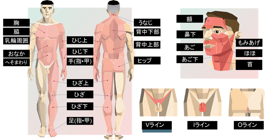 気になる箇所を3点をセレクト