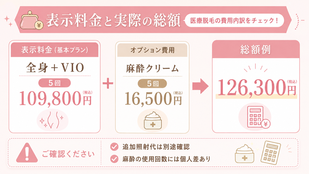 全身プランの表示料金と麻酔代を含む総額例